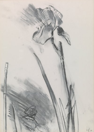 虹膜2 作者 威廉·帕克